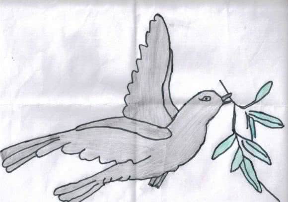 Riyad from Syria draws his hopes and dreams for Syria's future: a dove holding an olive branch.