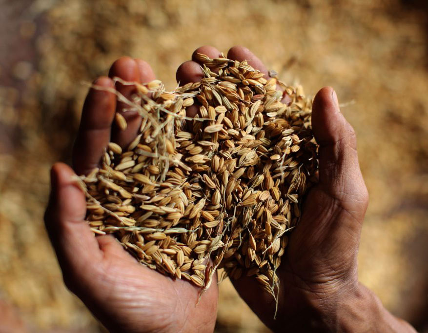 RS54433_LAO-2015-JE-0400-1024x683.jpg---crop