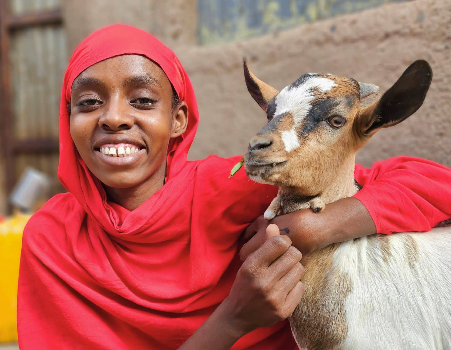 d8f99b48-4506-49a9-bc7d-daec5533b6c7-1536x1536