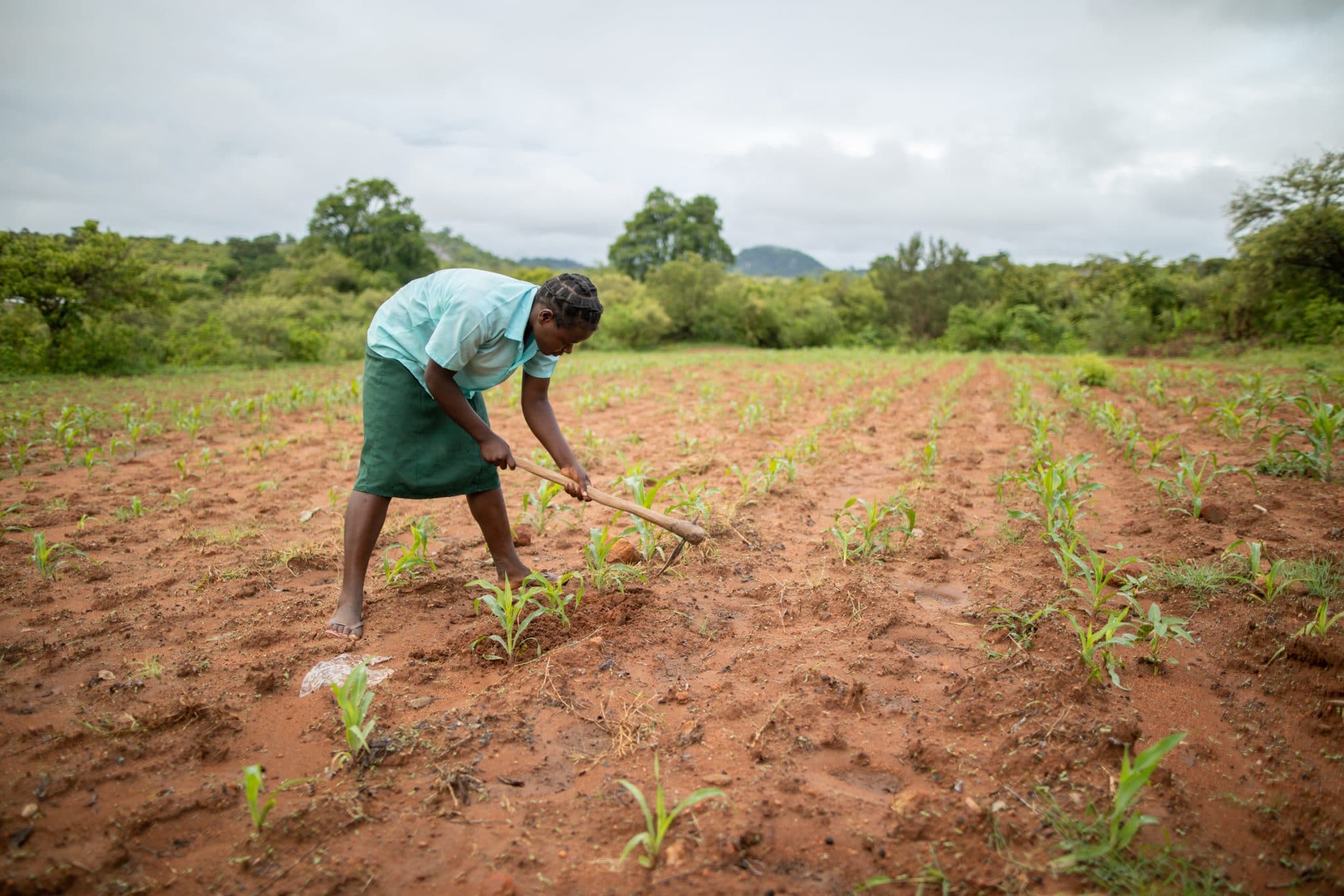 Families Battling Drought in Southern Africa - Donate to CARE Australia